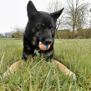 DSCN460 03.jpg