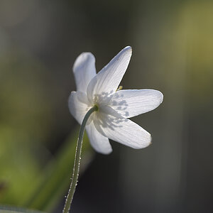 D500_800x1200_DSC0070.jpg