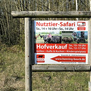 Wenn schon keine Safari dann wenigstens gucken gehen....jpg