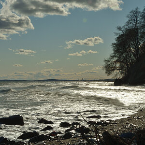 20200329_152111nf.jpg