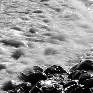 20200329_151255nf.jpg