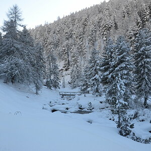 Schweizer Naturschutzgebiet II