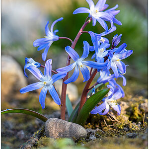 131 Nochmal Blaustern