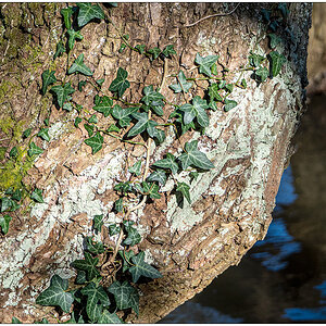 135 Licht und Schatten 1