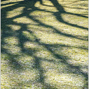 136 Licht und Schatten 2