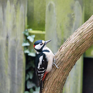 20200329-_D728241.jpg