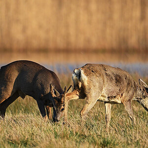 811_5420at5l10fkfs-3s70p1.jpg