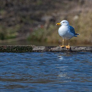 OF2_39043.jpg