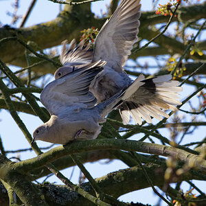D72_5553_DxO.jpg