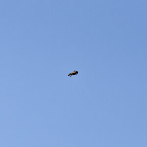 D72_5535_DxO.jpg