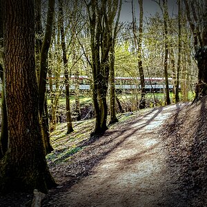 TZ_2020-04-04_17-29.jpg