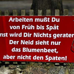 Der Bauer....jpg
