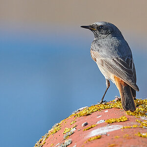 DSC_6227_sm.jpg