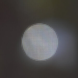 D72_5582.jpeg