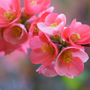 DSC_2054_DxO-1.jpg