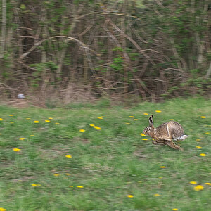 DSC_8336.jpg