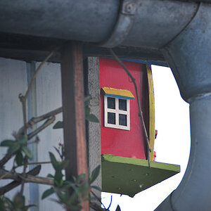 DSC_10741.jpg