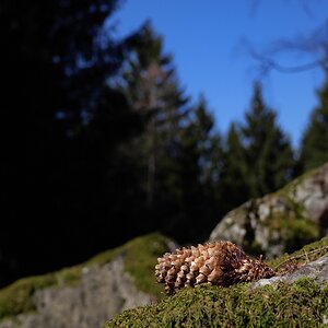 P1023198a_klein.jpg