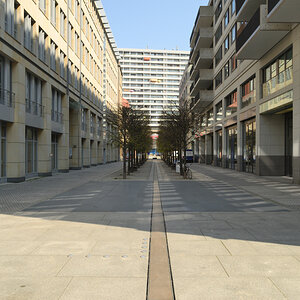 DSC_3421.JPG