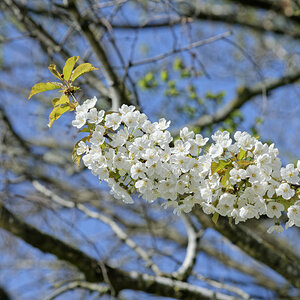 _DSC7470NF.jpg