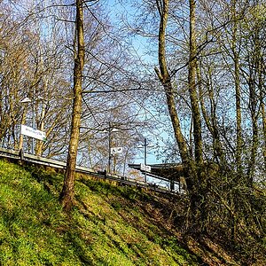 TZ_2020-04-10_15.jpg