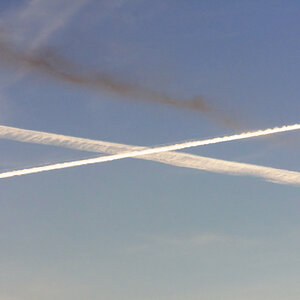 D72_5594_DxO.jpg