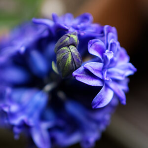 DSC_1858_DxO.jpg