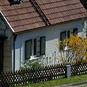 DSC_4663_DxO.jpg