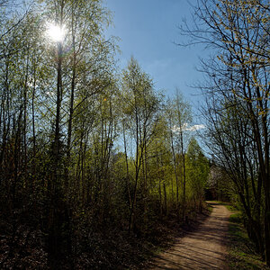 DSC_4699_DxO.jpg