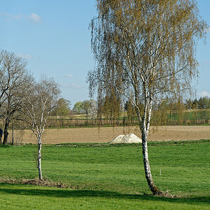 DSC_4708_DxO.jpg