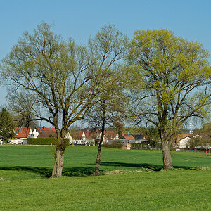 DSC_4711_DxO.jpg
