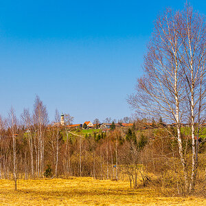 _DSC1103.jpg