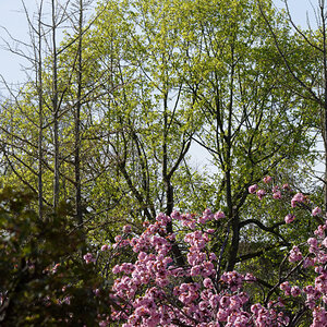 D72_5593_DxO.jpg