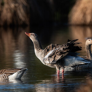 _DSC0459-Bearbeitet-1.jpg