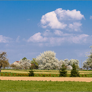 D75_1640.jpg