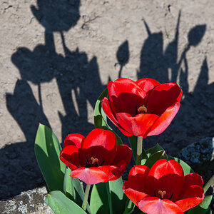 OF2_30245.jpg