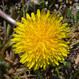 OF2_30255.jpg