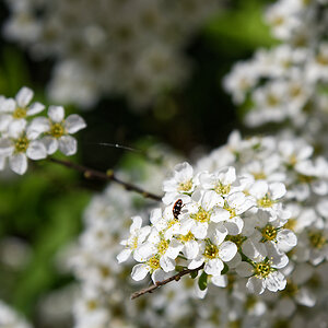 DSC_2644_DxO.jpg