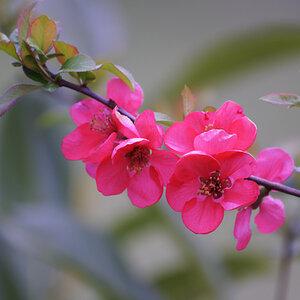 _DSC7488NF.jpg