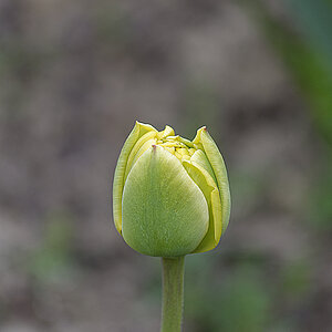 _DSC7494NF.jpg