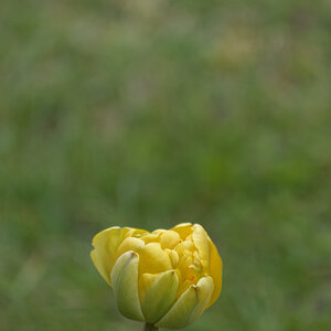 _DSC7495NF.jpg