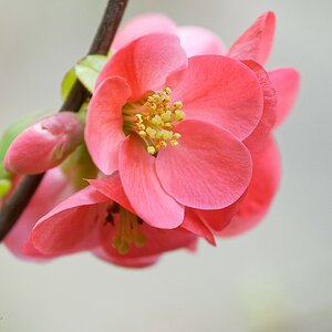 DSC_2059_DxO.jpg