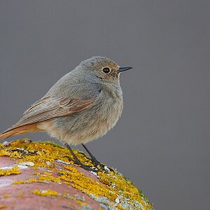 DSC_6497_sm1.jpg