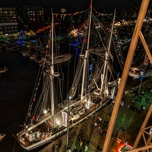 _DSC5671.JPG