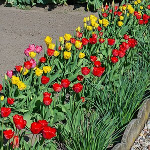 OF2_40457.jpg