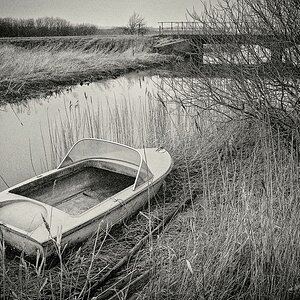 TZ_F1020007_A.jpg