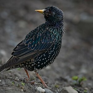 _DSC0512-Bearbeitet-1.jpg