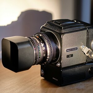 Hasselblad im Abendlicht