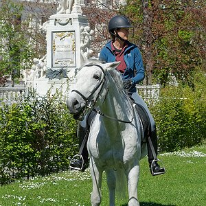 DSC_3121_DxO.jpg