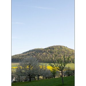 SasaDSC_3616.jpg